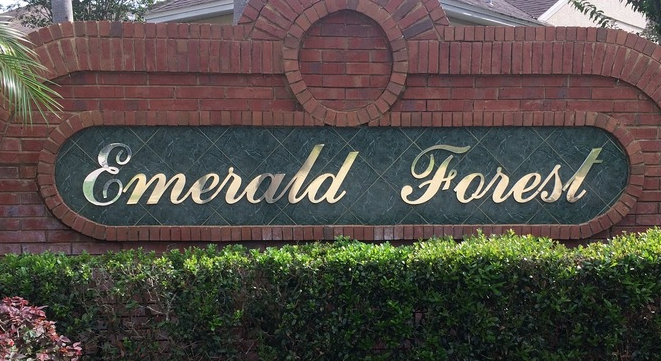 Emerald Forest