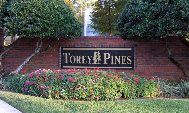 Torey Pines