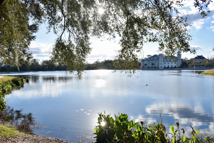 Celebration Florida Real Estate