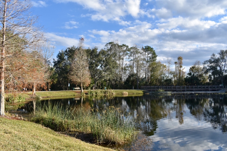 Celebration Florida Real Estate